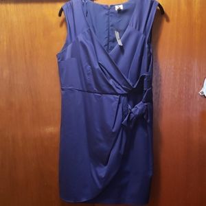 Sleeveless Purple Dress